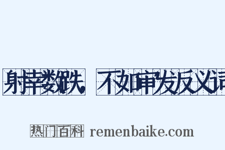 射幸数跌，不如审发反义词是什么意思的图片